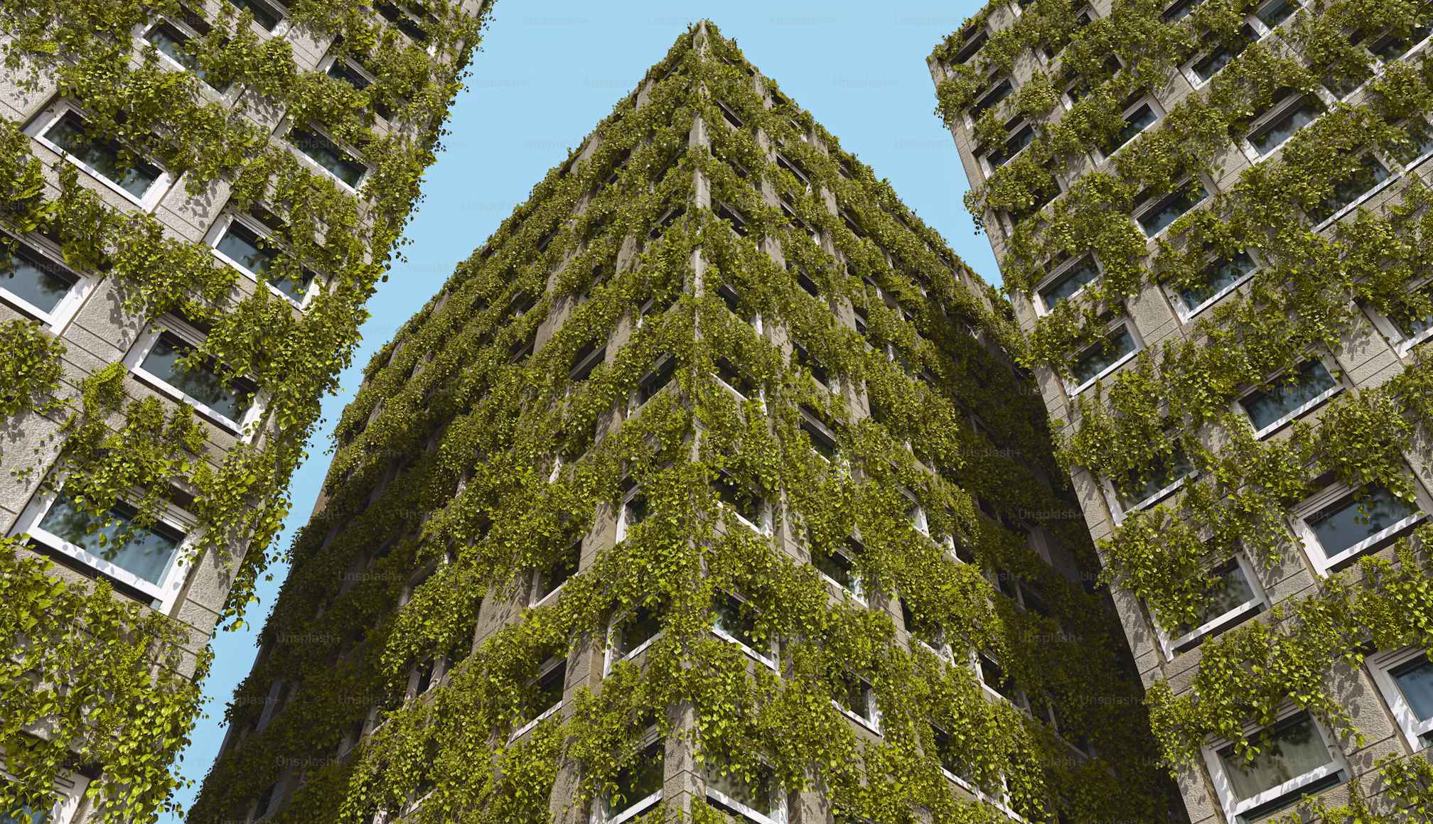 Building exterior with greenery and blue sky - Hero background image for Sandhurst Projects Ltd home page.